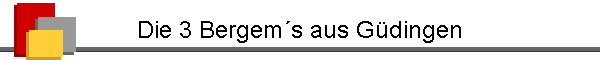Die 3 Bergem�s aus G�dingen